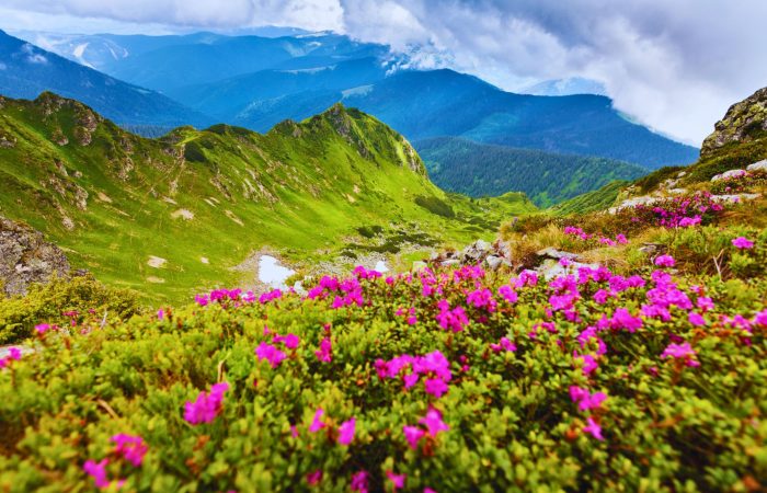 Вихідні в Карпатах з Києва